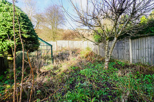 Photo 3- click for photo gallery